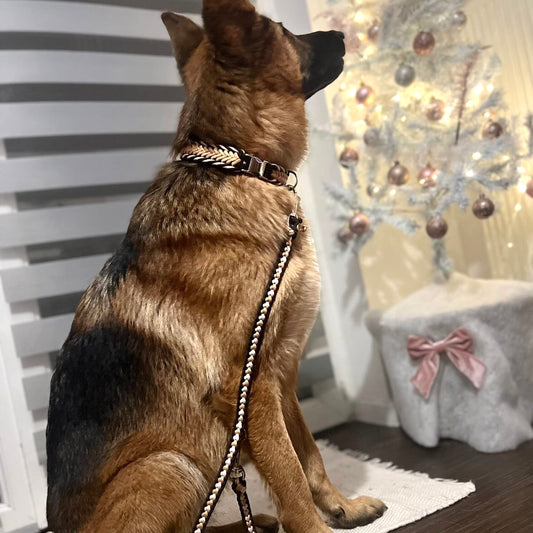 Laisse Multiposition "Sybelle"