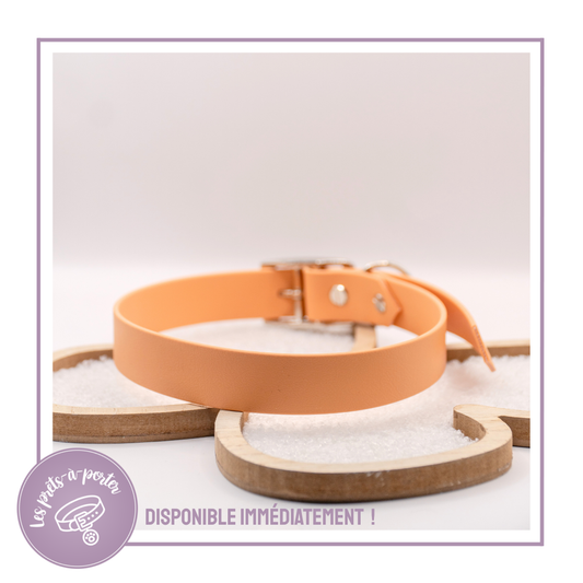 Collier Biothane 25mm (45 - 56 cm)