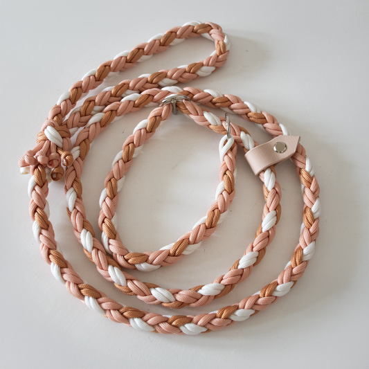 Laisse "Lasso"