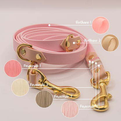 Laisse Multiposition "Néo"