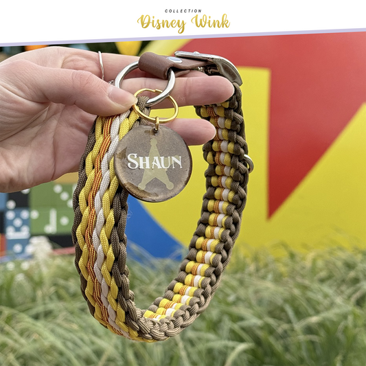 Collier "Shérif"